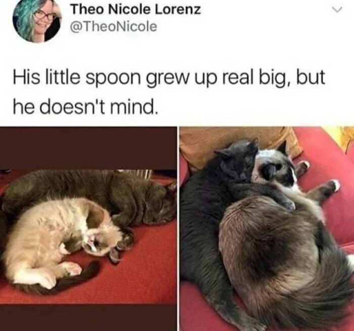 Wholesome-Meets-Internet