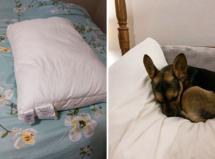 No More Clumpy, Uncomfortable Nights! Greet The Casper Sleep Original Pillow