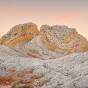 bellagrasso_1 avatar