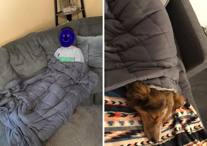  Topcee Weighted Blanket: Perfect For Any Season, Sensational For Every Snooze