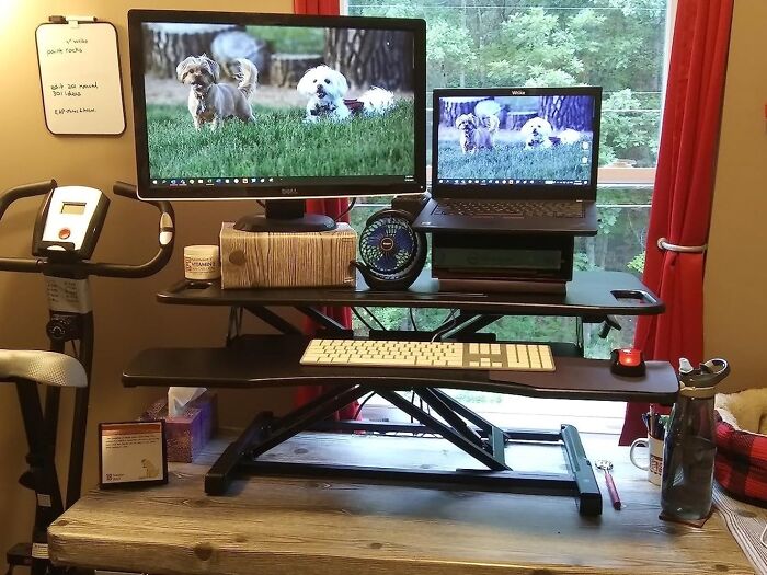 Elevate Your Work Experience With The Adjustable Sit-To-Stand Up Desk Workstation