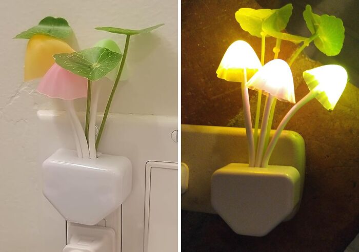 Illuminate Your Nights With The Mushroom Dream Bed Lamp