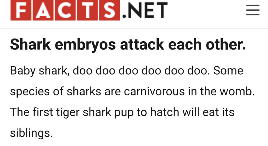 Baby Shark Doo Doo Doo Doo Doo Doo