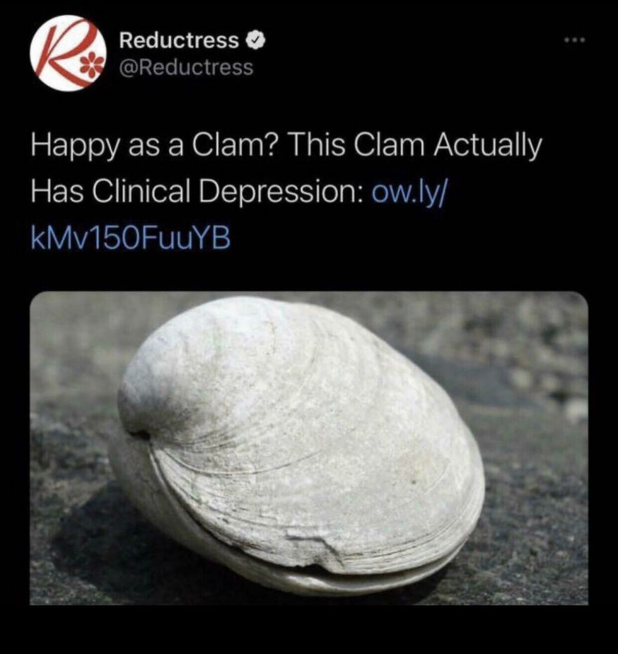 Clam