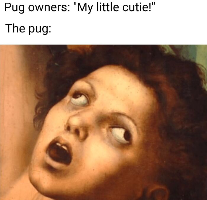 Classical Damn: Breathing New Life Into Old Paintings With Memes (New Pics)