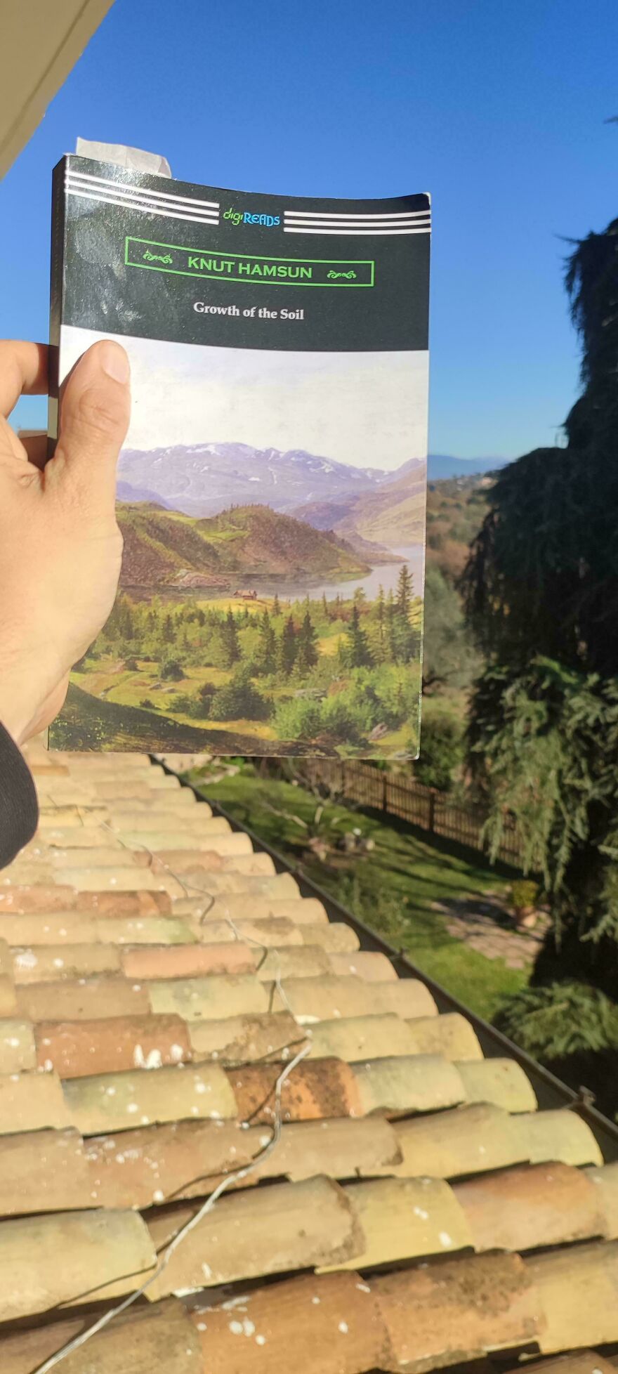 My Book Matches My Reading Spot Pretty Well