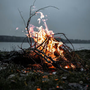 wildwoodsgirl65 avatar