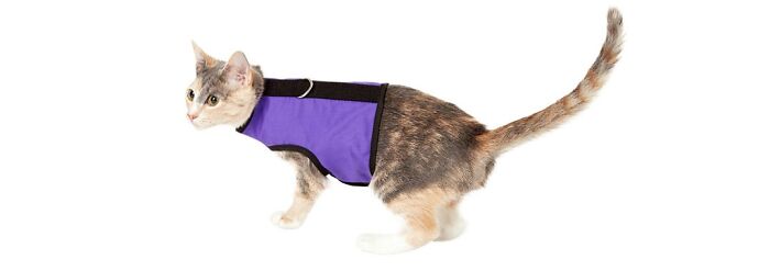 Kitty Holster Cat Harness