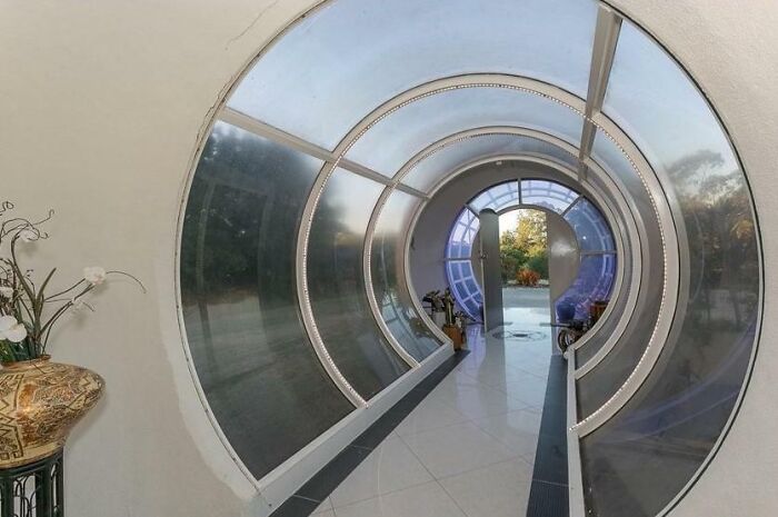 Planet Of The Hamsters