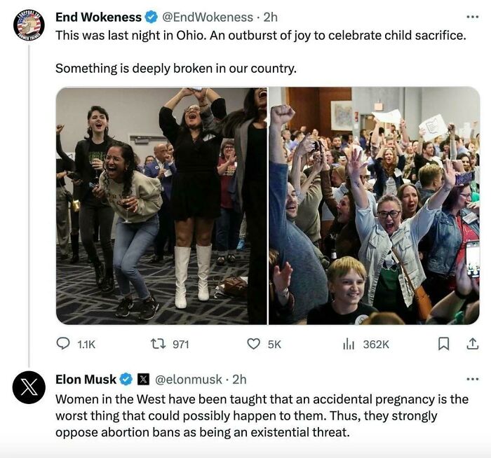 Elon Telling Women Accidental Birth Isn't That Bad