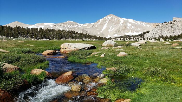 Here Is One Of My Favorite Meadows