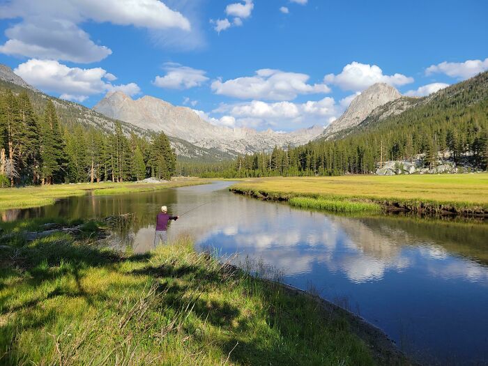 Sierra Nevada Meadow
