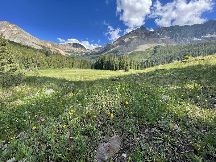 Meadow In Colorado That Our Friends Got Married In Two Weekends Ago