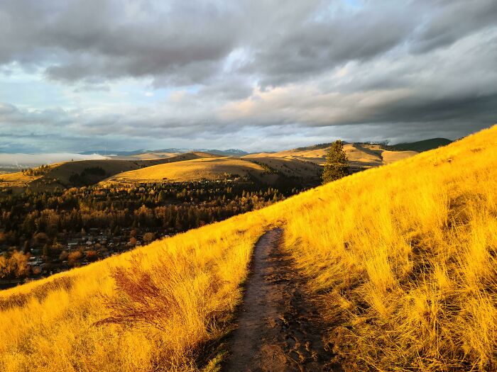 I Took This On The Winter Equinox. Missoula MT