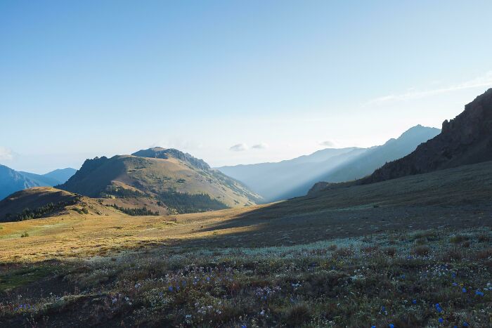 Eastern Olympics Alpine Meadow, WA