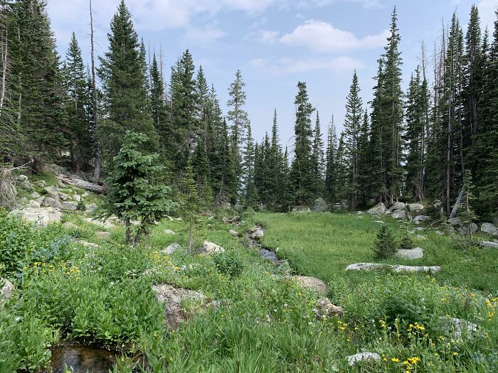 It May Be Small But It Packs A Punch