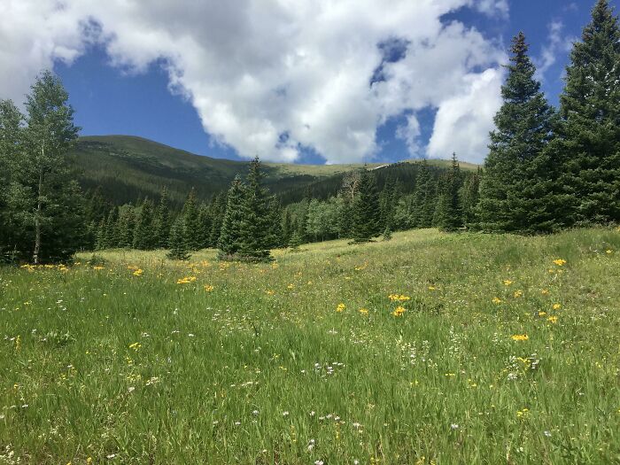 La Veta, Colorado (August 2019)