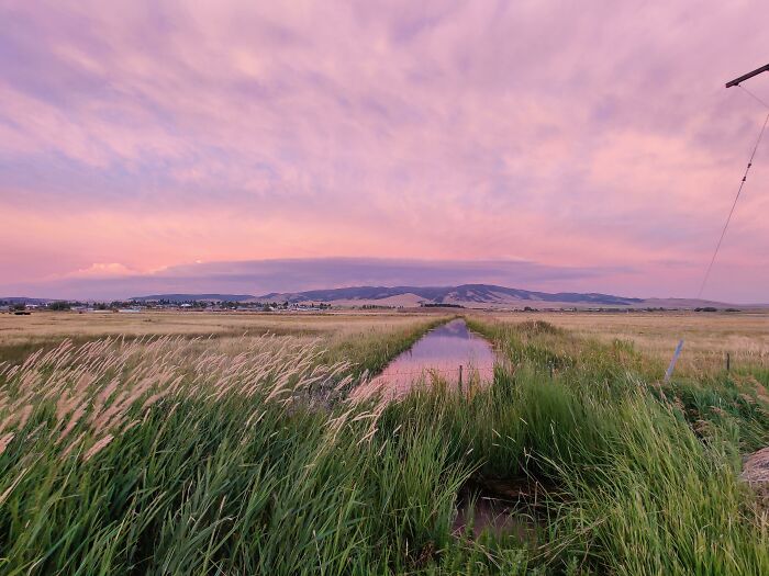 Meadow At Sunset. Montana Has Convinced Me That Soft Pastel Western Paintings Are Actually A Subset Of Photorealism