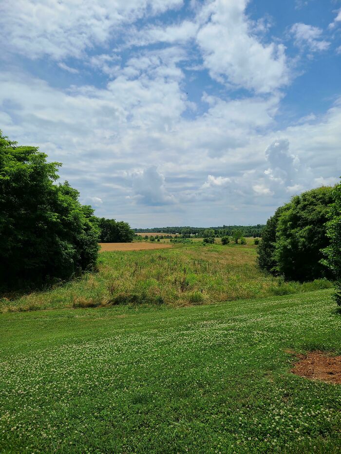 Not As Grand As Some Posts Here, But Here Are Some Simple, Rolling Hills I Frequent Near My Workplace