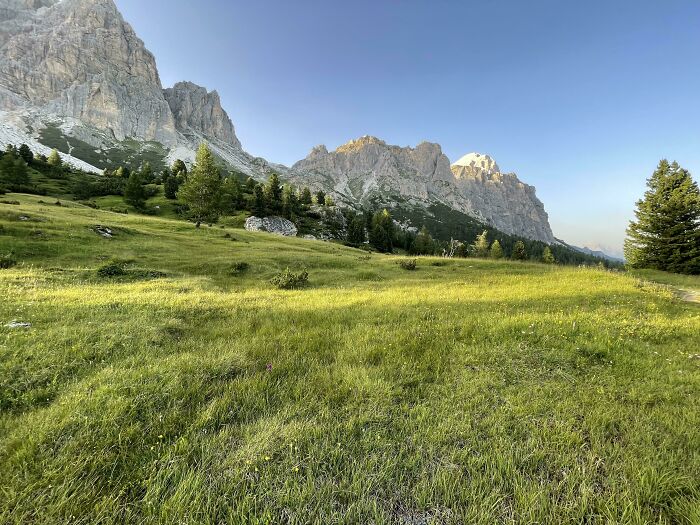 Italian Meadow - Buono?