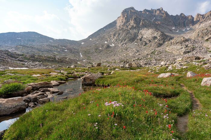 Alpine Meadow Below Fremont Peak, Wyoming