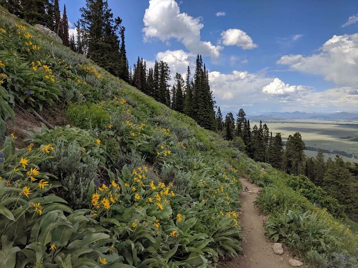 Perfect Summer Day From Grand Teton National Park, July 2019