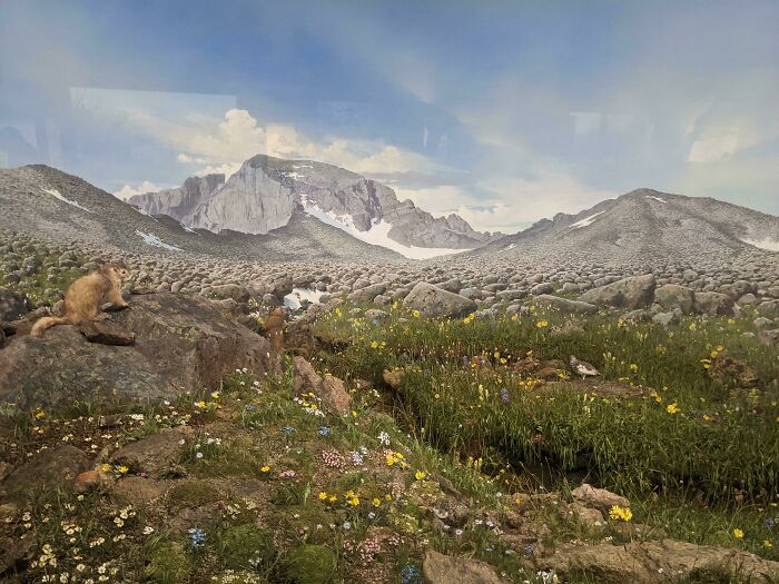 Spotted This Meadow Yesterday... Something Seems Off About It Though