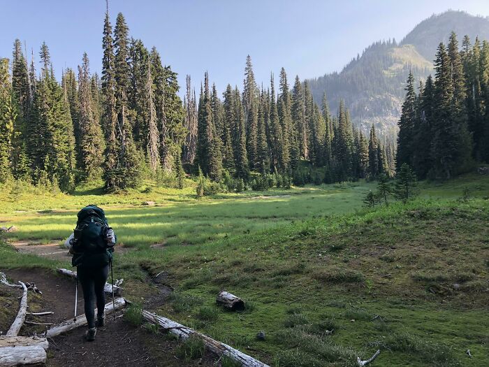 Mount Rainier National Park, Approx 5,000’ Elevation