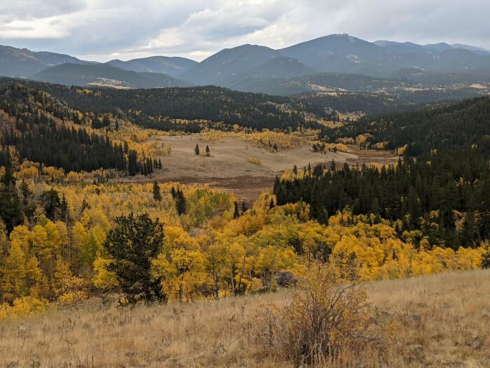 Fall Aspen Meadows In Colorado (Kanosha Pass)