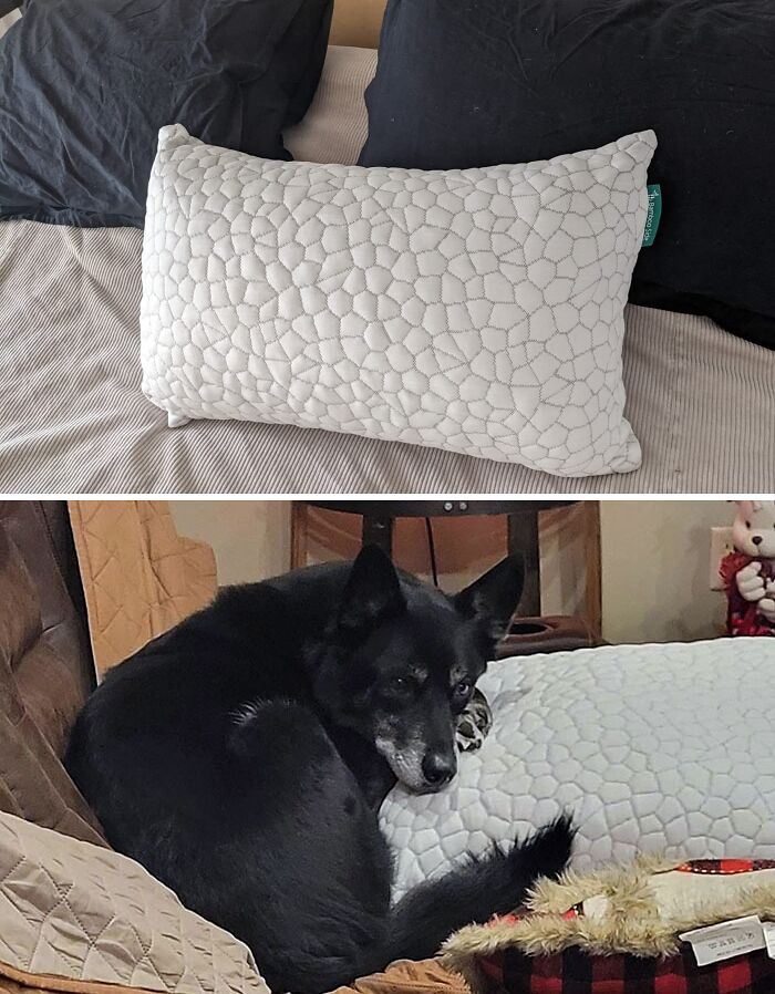 Let Your Sleep Chill Out! Unwind With These Cooling Gel Pillows. The Perfect Ice-Breaker For Hot Sleepers!