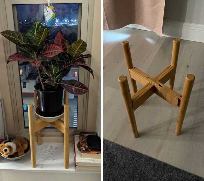  Uppwell’s Elevation Station: Your Plant’s Bamboo Balcony