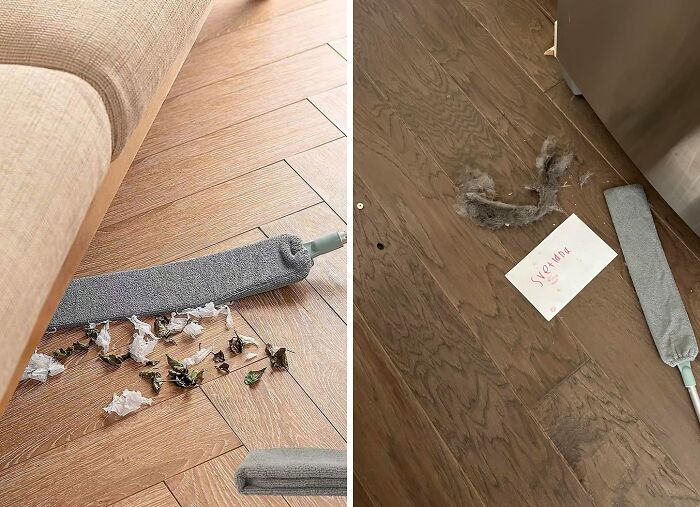  Beneath ‘N’ Beyond Brush - Reach The Unreachable, Clean The Unseen