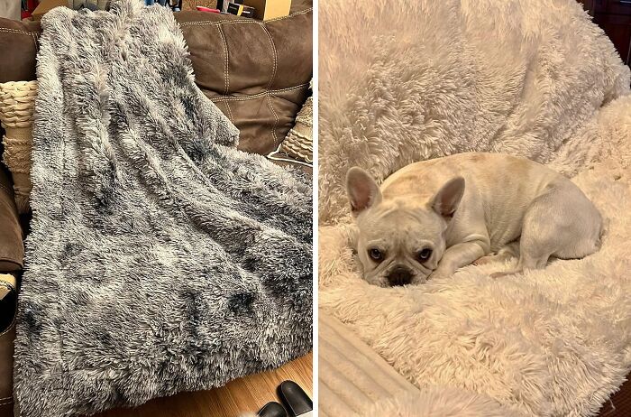 Experience Unmatched Comfort With Ultra Soft Throw Blanket - Your Fuzzy, Fluffy, And Fabulous Home Essential