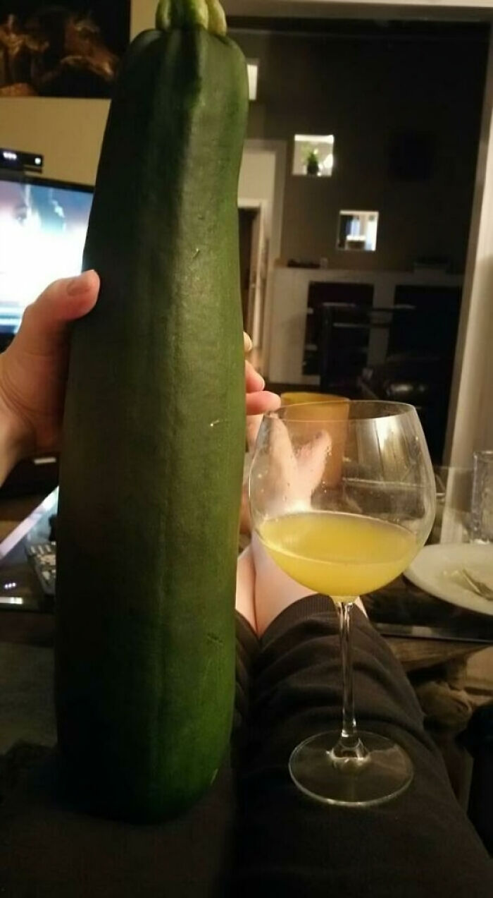 Le han regalado este calabacín a mi esposa