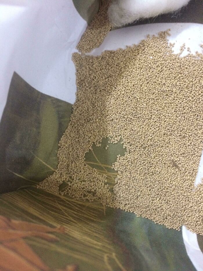 Grainy-Like Things? They Appear Inside And On My Closet, And Reappear Whenever I Clean Them. What Are These?