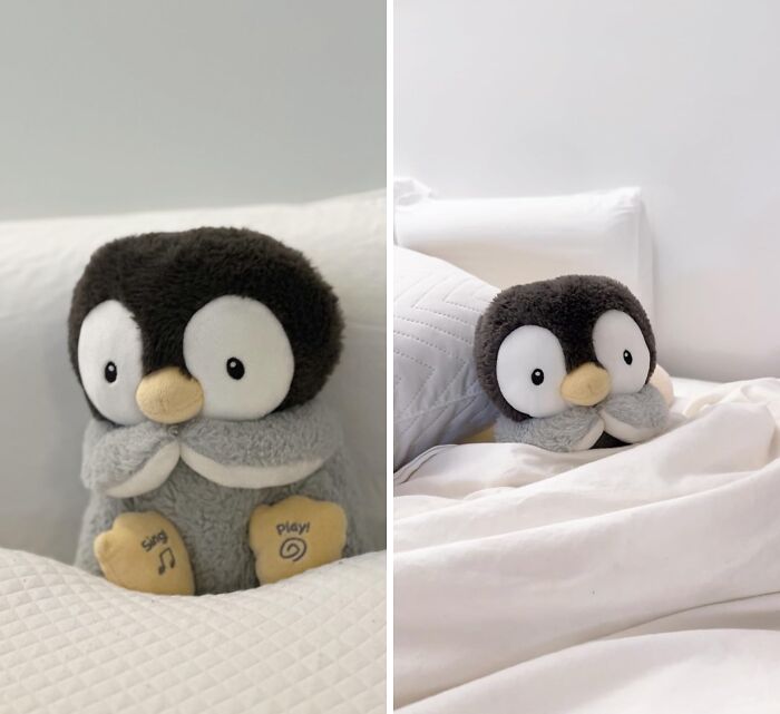 Flipper Tunes: Kissy The Penguin’s Heartfelt Harmonies