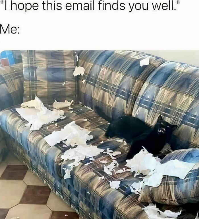 No Explanation Needed