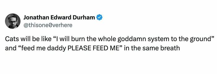 Cats Are So M̶u̶l̶t̶i̶f̶a̶c̶e̶t̶e̶d̶ Multifurrcited