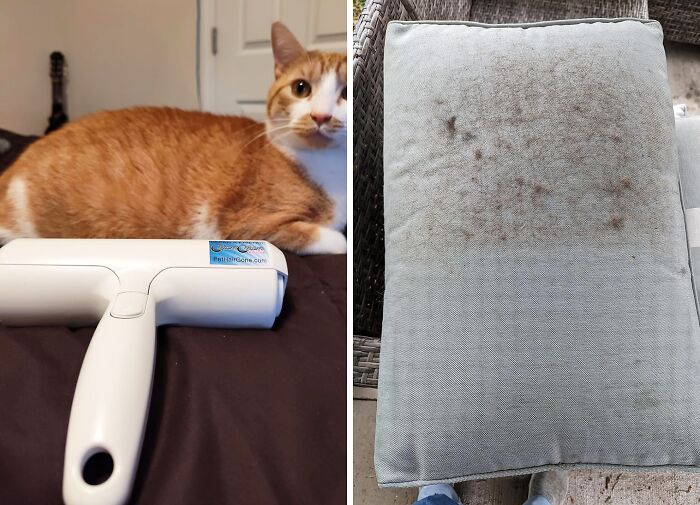 Chom Chom Pet Hair Remover - The Ultimate Fur Removal Tool For A Clean Fur-Free Home!