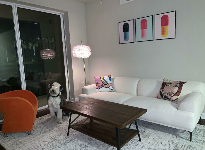 My First Apartment - 20 Years Old