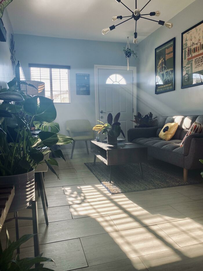 El Departamento De Me Primo