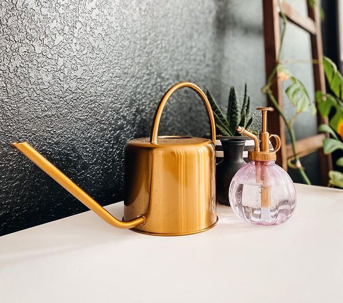 Effortlessly Water Your Plants With The Indoor Outdoor Stainless Steel Watering Can: Durable And Stylish For All Your Gardening Needs