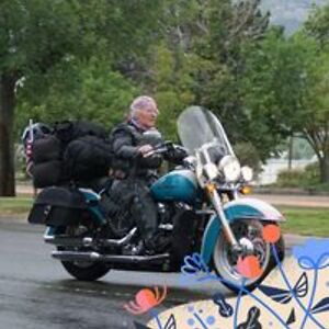 pamela_dylina avatar