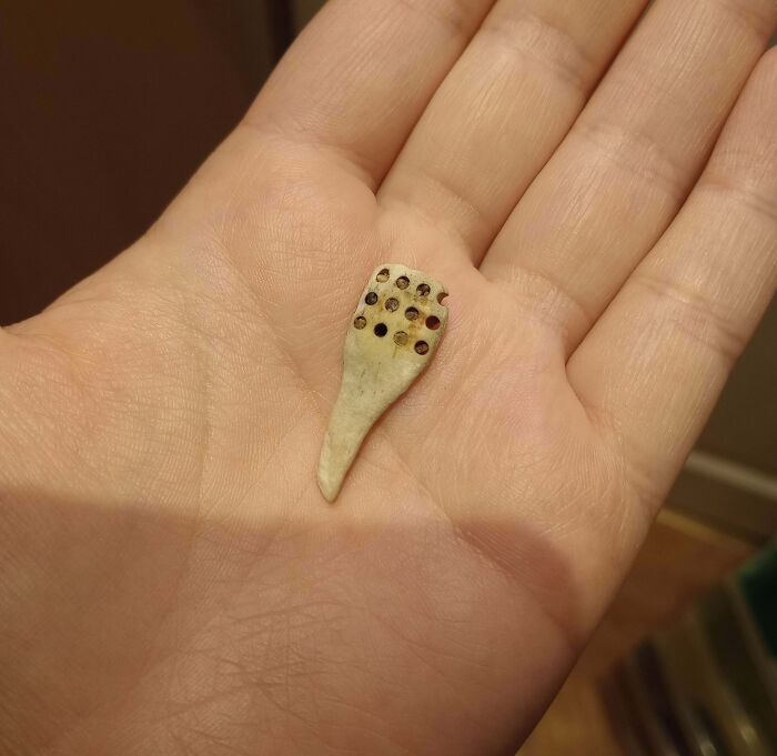 What Is This Object I Found On A Beach In Yorkshire That Has Holes In And Feels Like A Mix Between Stone And Plastic