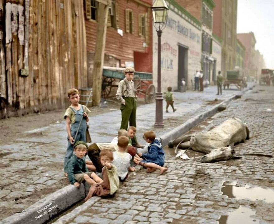 New York City , 1900 - 1906 ( Colorized )
photo Was Taken By 📸 Joseph Byron
facebook " Group "
vintage / History Of Everything & Weird Facts
................................... ..............................
.
.
.
.
#newyorkcity #1900 #nyc #1906 #coloriz #colorized #colorizedhistory #joseph #ny #ny #josephbyron #1900s #1910 #backschool #colorizedhistoricalphotos
#lostphotos #lostpictures #losthistory #deadhorse
...................................
.
.
.
.
.
.
.