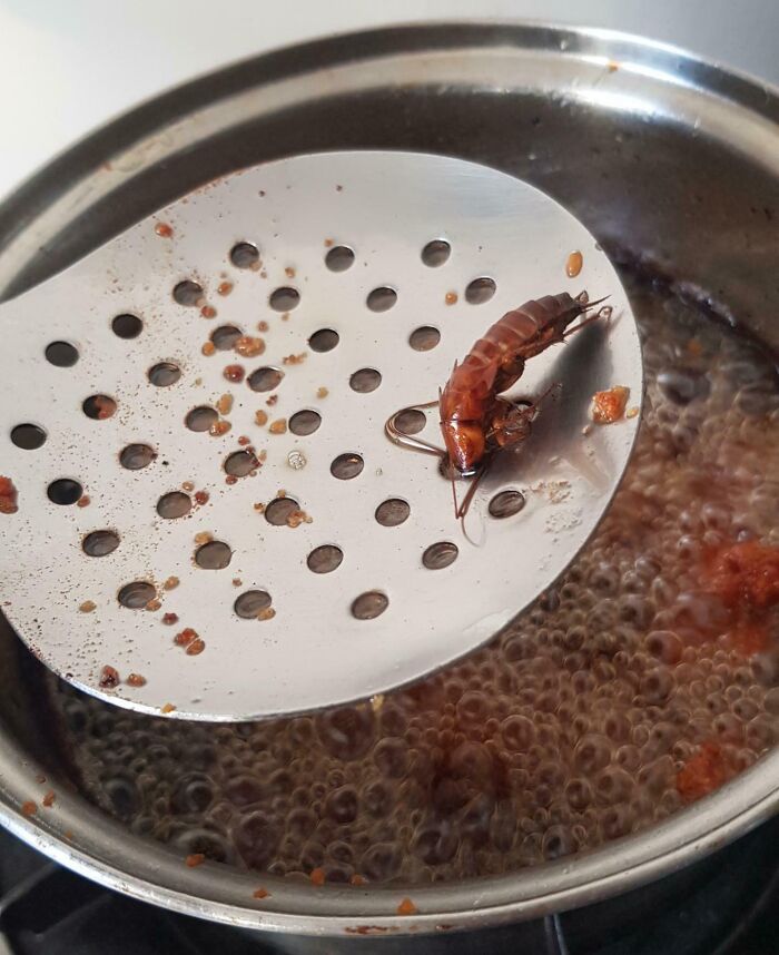 Saw A Weird-Looking "Chicken Piece" And Took A Closer Look