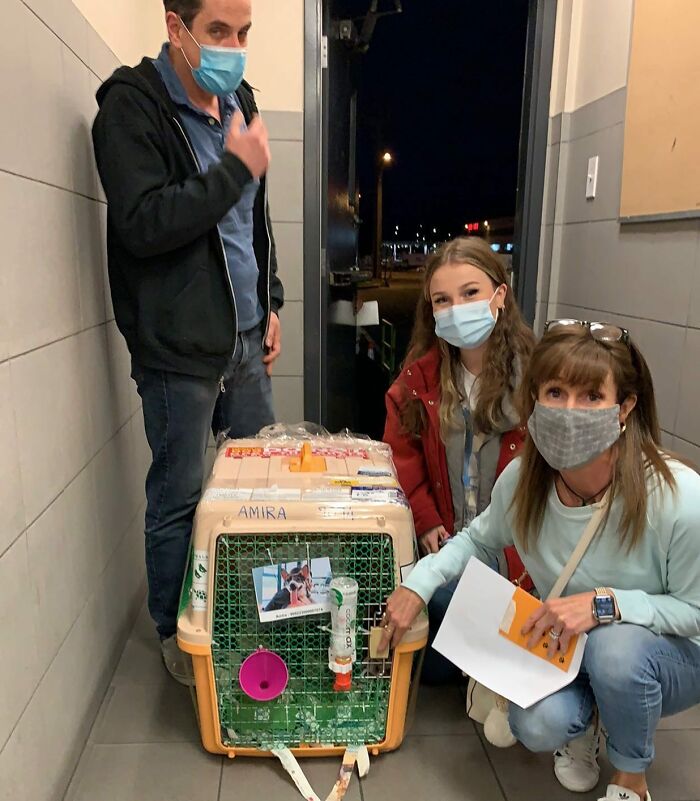 Dog With Two Legs That Survived A Gunshot To The Head Now Zooms Around Like A Puppy In Her New Home - 12