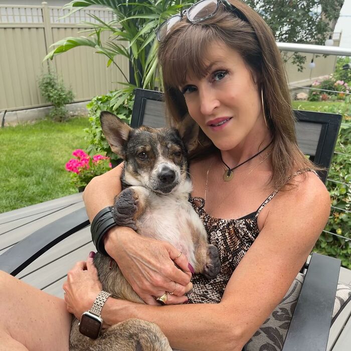 Dog With Two Legs That Survived A Gunshot To The Head Now Zooms Around Like A Puppy In Her New Home - 9