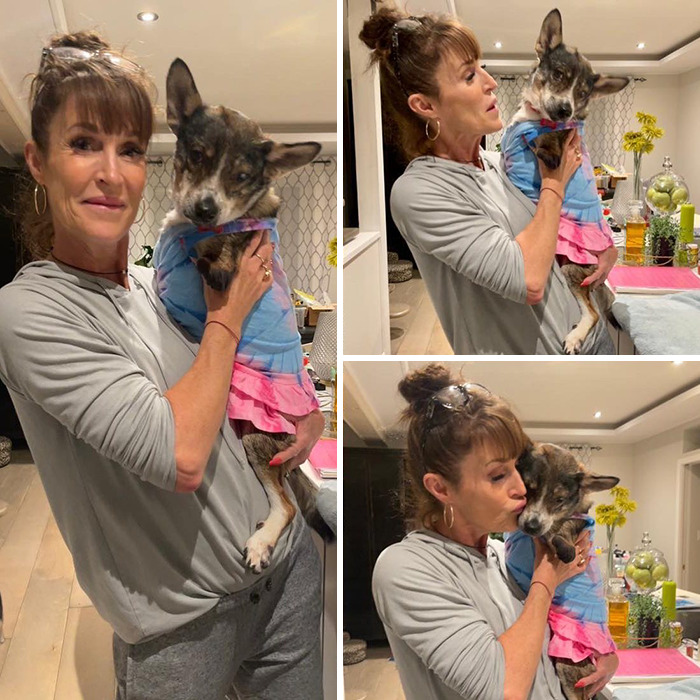 Dog With Two Legs That Survived A Gunshot To The Head Now Zooms Around Like A Puppy In Her New Home - 24