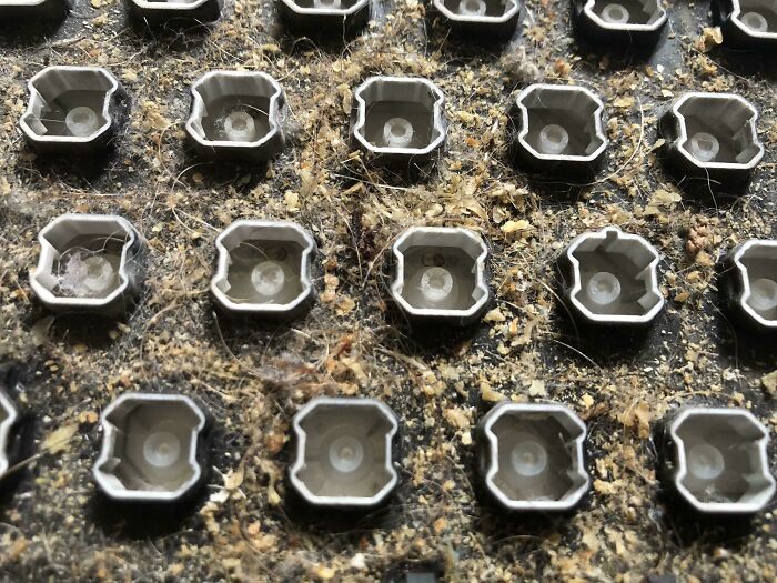 Cleaned Underneath My Keyboard